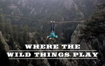Where the Wild Things Play