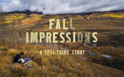 Fall Impressions: How Mountain Biking Inspires This Artist