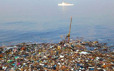 The Great Pacific Garbage Patch is Bigger than Previously Estimated