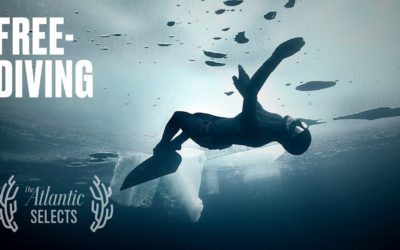 Arctic Free Diving: Johanna Nordblad