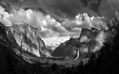 YOSEMITE in BLACK & WHITE