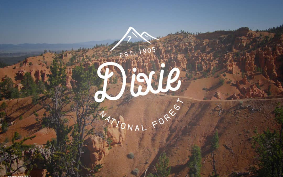 Your Forest Your Future: Dixie National Forest