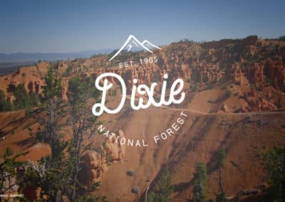 Your Forest Your Future: Dixie National Forest