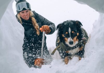 HEAVY WEATHER: Skills of Rescue Dogs