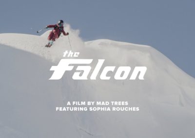Falcon – Falcon the Van