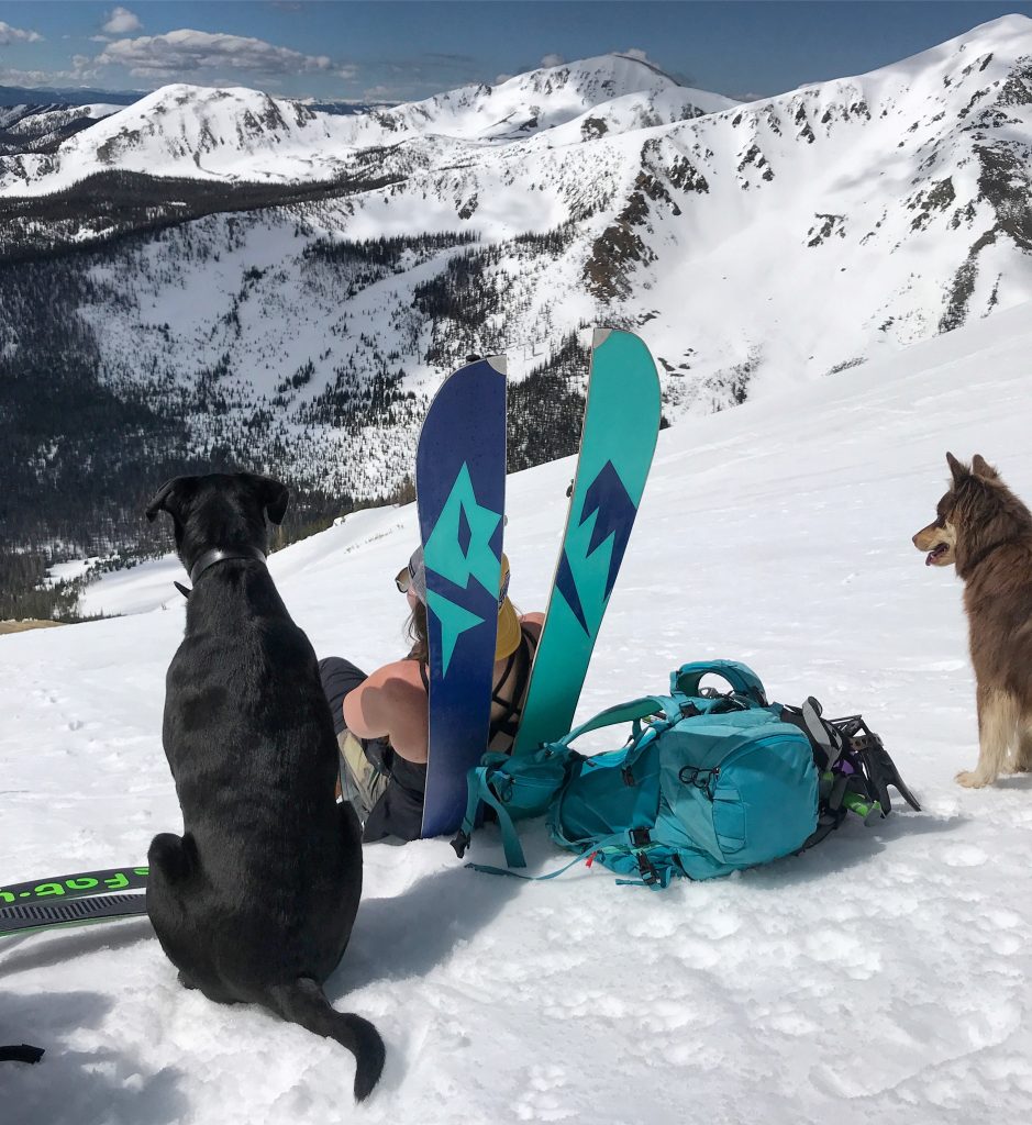 dogs backcountry ski splitboard