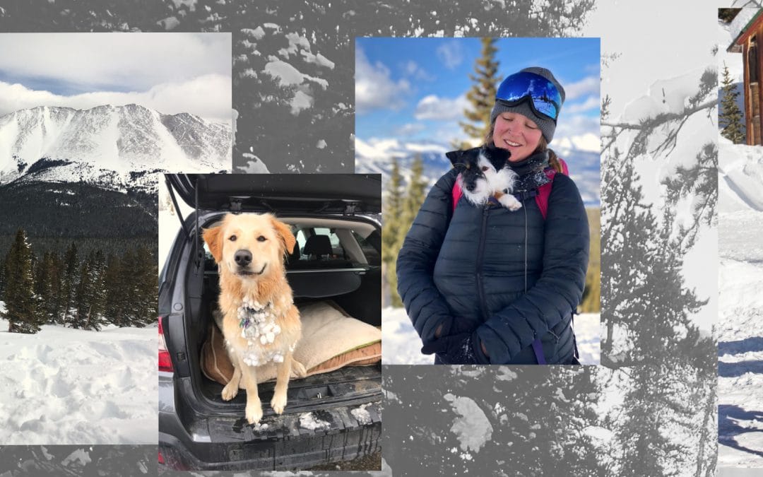 TIPS FOR BRINGING YOUR DOG INTO THE BACKCOUNTRY