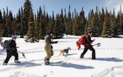Venture Out: A Women’s Backcountry Festival
