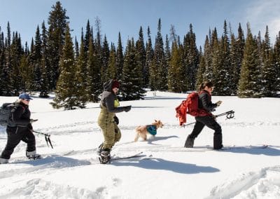 Venture Out: A Women’s Backcountry Festival
