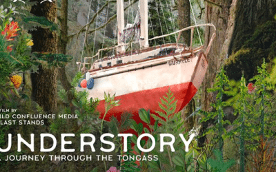 Understory – Tongass Forest Documentary