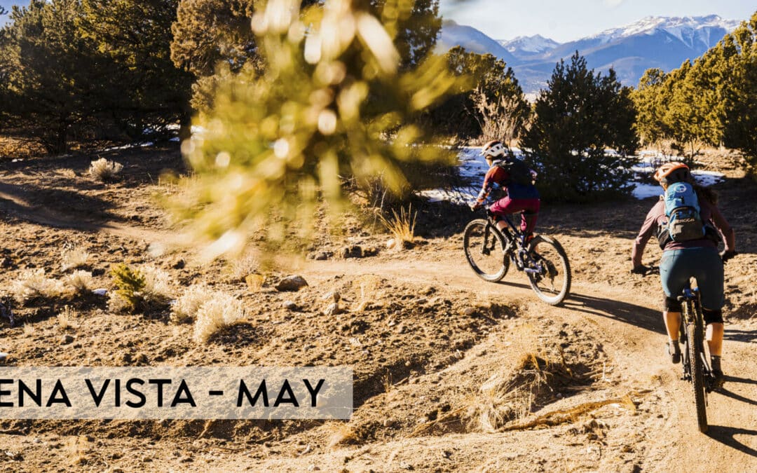 Buena Vista – Mountain Bike Skills Clinic